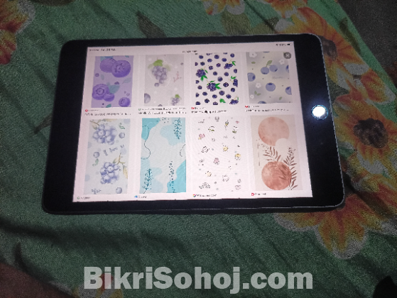 Ipad mini 5 best conditions